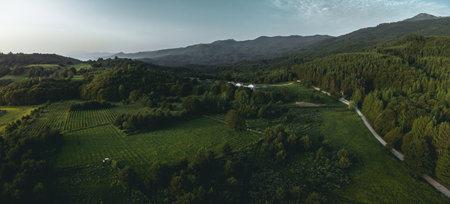 Landscape panorama from a drone of a beautiful mountains and road leading to them during spring time in the morning with a lot of meadows below.の写真素材