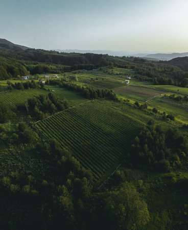 Above meadows and farm fields with beautiful background horizon view. Photographed with a drone from the sky.の写真素材
