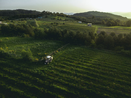 Old white tractor in a big raspberry farm field in the morning during sunrise. Photo taken with a drone from above the fields.の写真素材