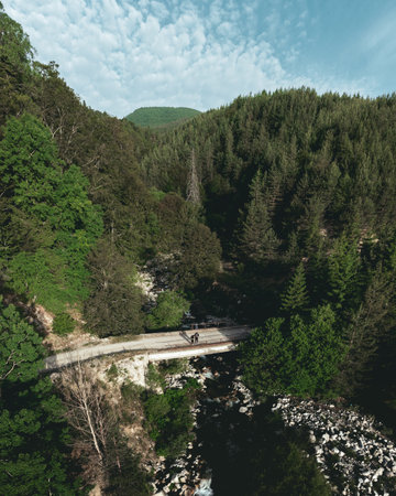 Vertical panorama taken with a drone from above with beautiful view of a river and a bridge...