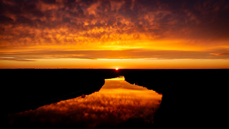 A breathtaking sunset descends over a tranquil river, casting a golden-orange glow across the horizon and reflecting vividly on the calm water surface. Dark silhouettes of trees frame the scene, creating a serene contrast to the warm gradient sky that shifts from deep orange to violet. This peaceful moment captures the natural beauty and stillness of twilight.の素材
