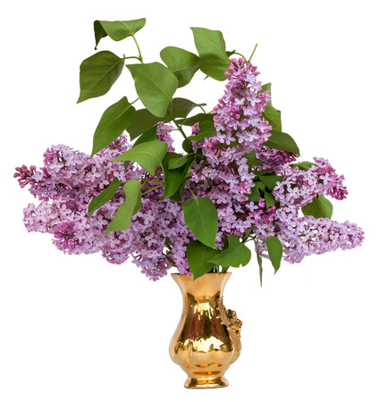 Isolate bouquet of lilac with leaves in a vaseの写真素材