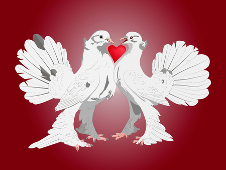 Pair of lovers thoroughbred white doves with a heart between them on a red backgroundのイラスト素材