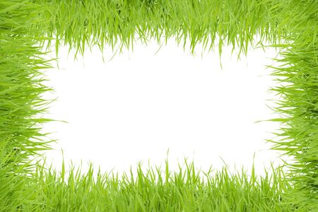 Grass frame