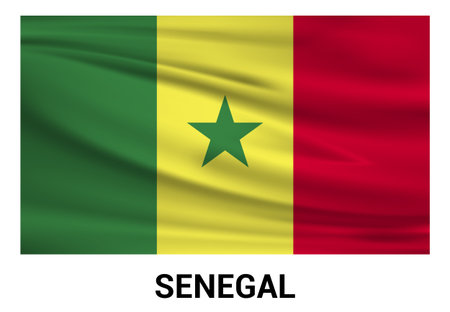 Senegal flags design vectorのイラスト素材