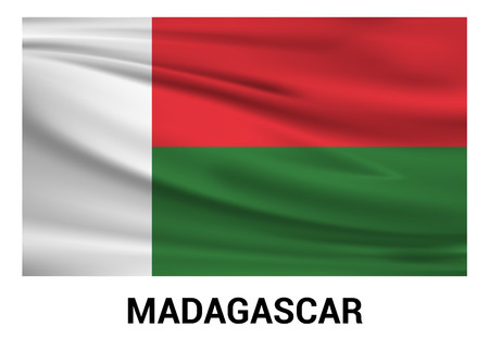 Madagascar flag design vectorのイラスト素材
