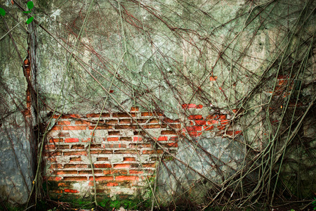 old wall.の写真素材