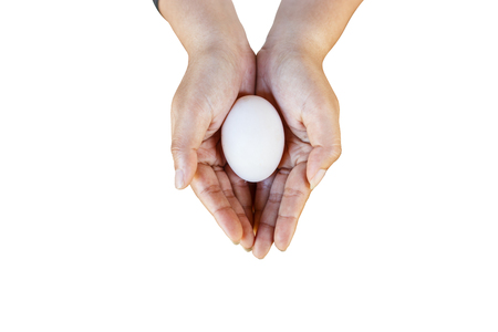 Close up of an woman hands, holding  fresh duck egg on white background. Selective focus.の写真素材