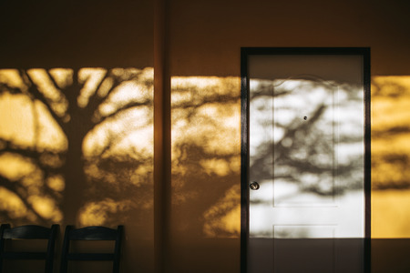 Shadow of the tree on yellow wall and door.の写真素材