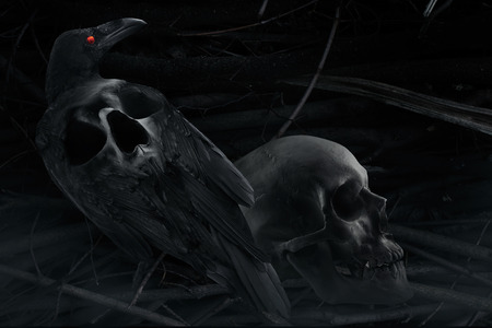 Photo of a black and white black stylized crow with skull image on a back, sitting with human skull close up composition with branch background pattern.の写真素材