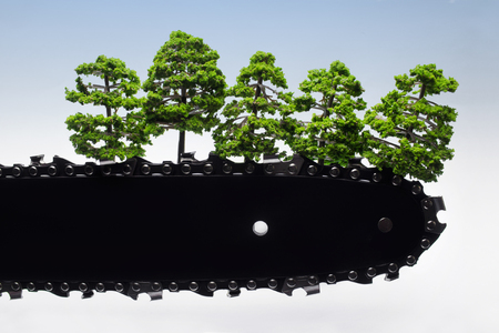 Concept photo referring to environment protection and wood cutting with chainsaw blade and small trees on it.の写真素材