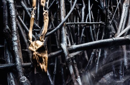 Photo of a wooden bird skull amulet handing on  fence made of branches with fog.
