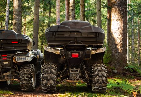 Photo of a camouflaged offroad hunting atv vehicles standing in forest, rear trunk view.の写真素材