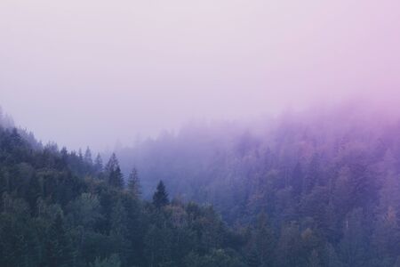 Lanscape photo of wood mountains with foggy morning purple sky.の写真素材