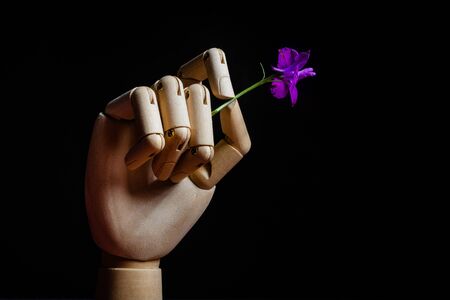 Photo of a qooden mannequin arm holding a flower on black background.の写真素材