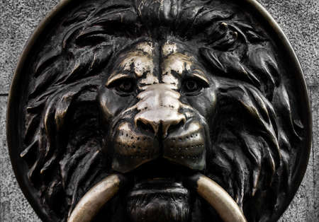 Photo of a metal lion head bas-refief closeup view.の写真素材