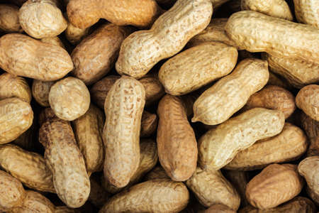 peanuts in shell laying on surface close-up photo.