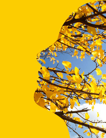 Artwork illustration of autumn tree branches in female face silhoette shape on yellow background.の写真素材