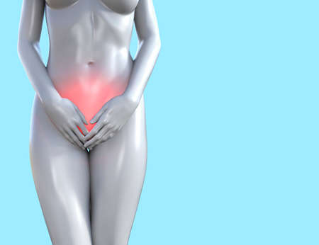 3d render illustration of female figure with red inflammated pelvic and genital area on blue...