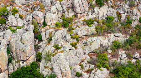 Texture backdrop photo of stone hills wih green grass and trees.