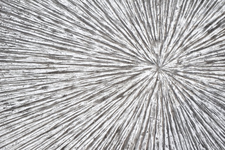 Photo texture of decorative concrete wall stucco surface.の写真素材