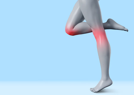 3d render illustration of female legs standing with knee pain area on blue background.の写真素材