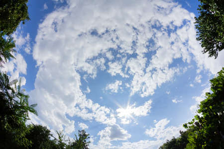 Fish eye nature photo of sunny day fluffy clouds with trees on blue sky backdrop.