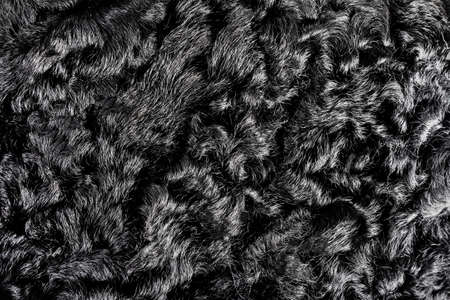 Backdrop close-up photo texture of black colored astrakhan fur material.の写真素材