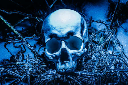Horror scary photo of human skull laying on frozen ice surface forest ground.の写真素材