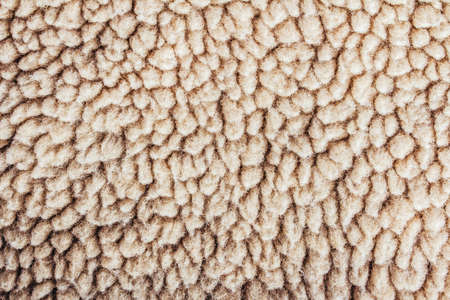 Backdrop close-up photo texture of light brown colored lining fur material.の写真素材