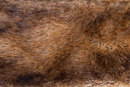 Backdrop close-up photo texture of brown colored animal fur material.の写真素材