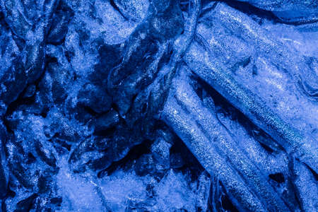 Photo of blue toned frozen leaves and branches covered in ice background texture.
