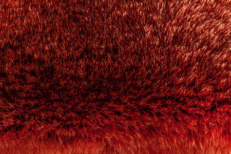 Backdrop close-up photo texture of red colored animal fur material.