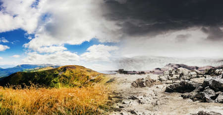 Ecology photo of combined flourishing and barren soil, environmental contamination concept.の写真素材
