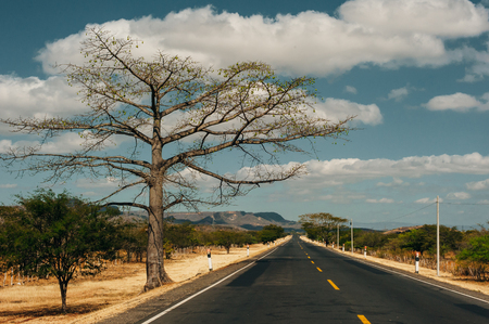 Very typical road with a beautiful sky in the savannah. Hot weatherの写真素材