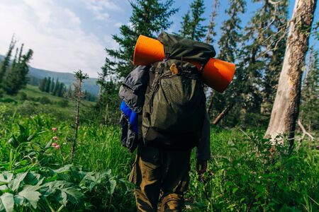 Man go hiking with backpacks on a forest roadの写真素材