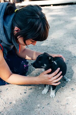 Girl holding a cute puppyの写真素材