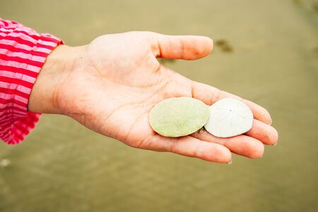 salted peanuts in hand on women hand on the beach