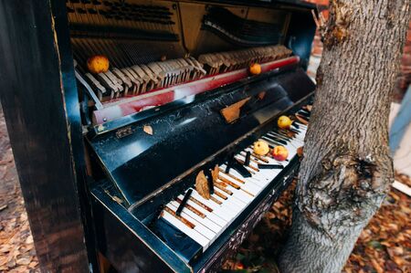 antique pianos in the street with wild appleの写真素材