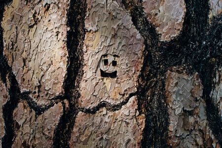 Tree bark texture background. carved smile