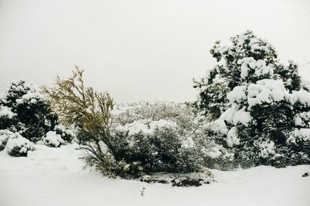 Bend along a snow covered road in a mountain setting in winter, USAの写真素材