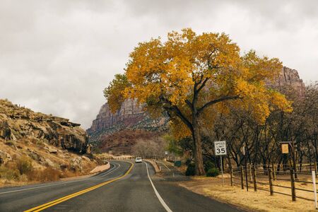 Zion National Park is an American national park located in southwestern Utah near the town of...