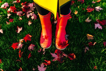 Rainy autumn. Rubber pink boots against. Conceptual image of legs in boots on green grassの写真素材