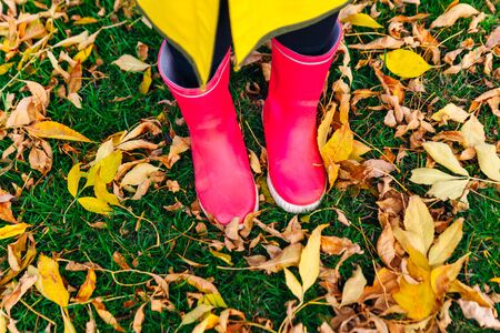 Rainy autumn. Rubber pink boots against. Conceptual image of legs in boots on green grass