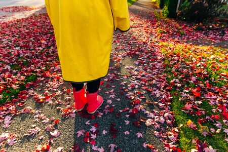 Rainy autumn. Rubber pink boots against. Conceptual image of legs in boots on green grassの写真素材
