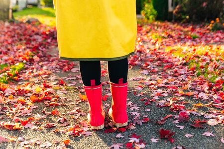 Rainy autumn. Rubber pink boots against. Conceptual image of legs in boots on green grassの写真素材