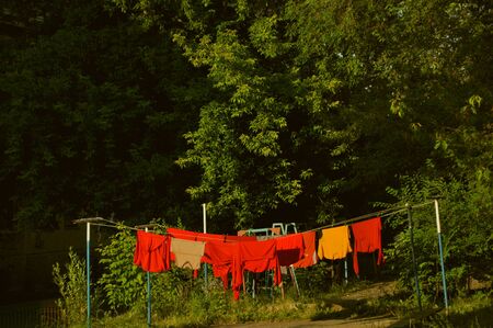 dried red clothes linen in a green forest.の写真素材