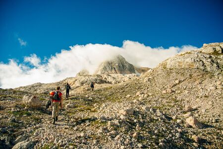 Top of mount Fisht. Caucasian biosphere reserve, republic of Adygea, Russia.