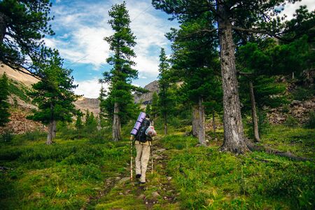 woman hiker in hike with a big backpack back view.