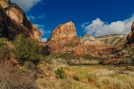 Zion National Park is an American national park located in southwestern Utah near the town of Springdale.の写真素材